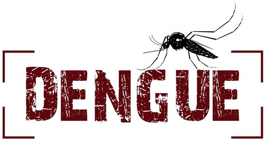 Resultado de imagem para dengue