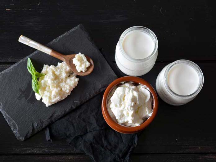 Probióticos naturais e em alimentos