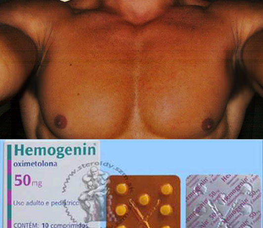 hemogenin ciclo