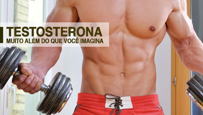 Guia Sobre Testosterona