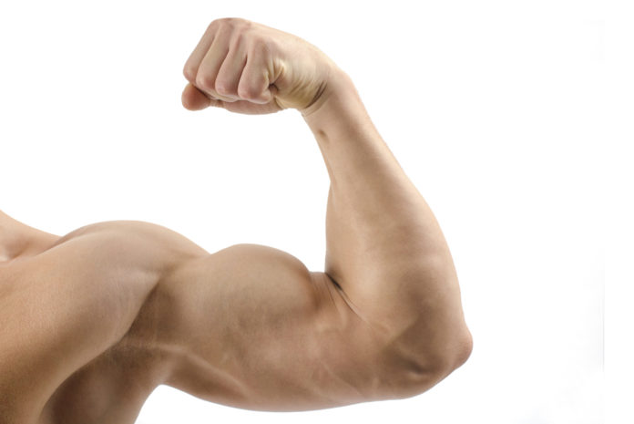 Exercícios para bíceps